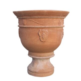 conchino dei medici