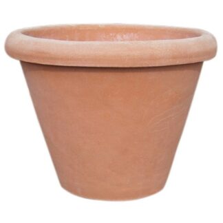 vaso camelia