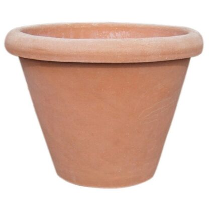 vaso camelia