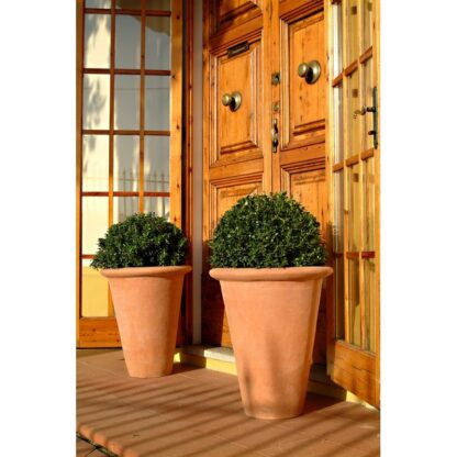 vaso cono - immagine 2